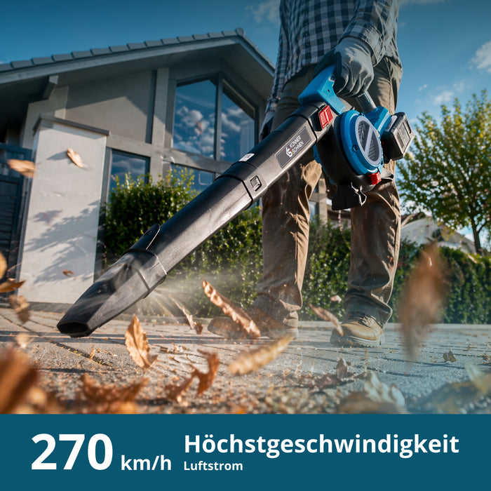 Promotionsset für Heckenschnitt KS LBV-HT-SET