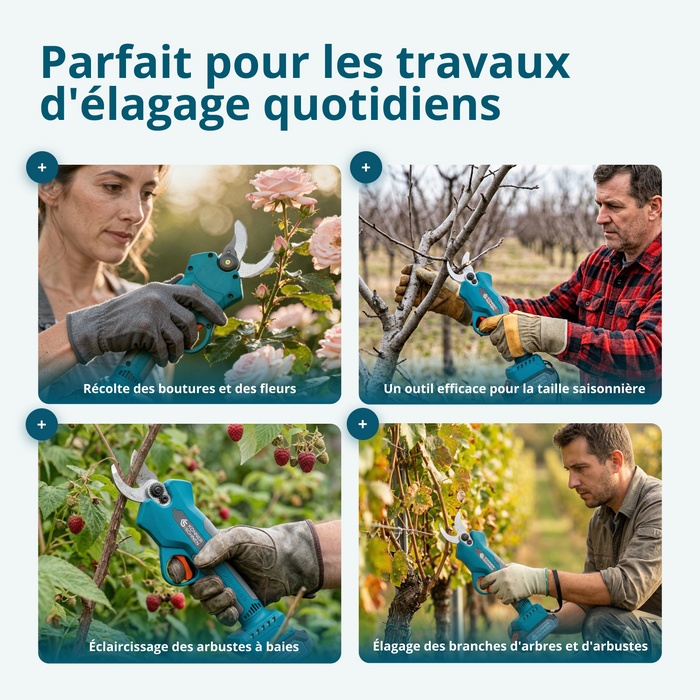 Kit promotionnel d’élagage KS MCS-CSP-SET